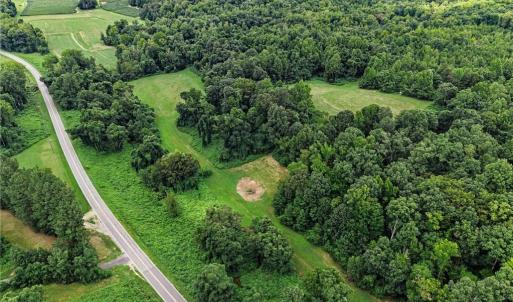Photo #13 of 543 Bald Hill Loop, Madison, NC 31.4 acres