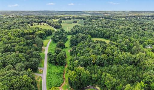 Photo #16 of 543 Bald Hill Loop, Madison, NC 31.4 acres