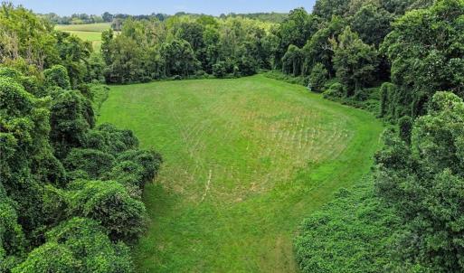Photo #26 of 543 Bald Hill Loop, Madison, NC 31.4 acres
