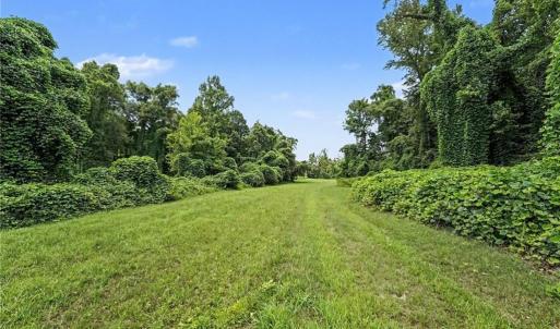 Photo #22 of 543 Bald Hill Loop, Madison, NC 31.4 acres