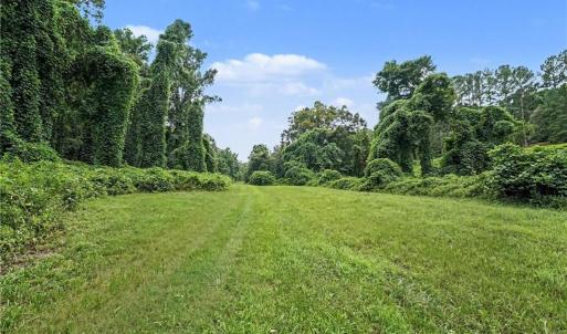 Photo #7 of 543 Bald Hill Loop, Madison, NC 31.4 acres