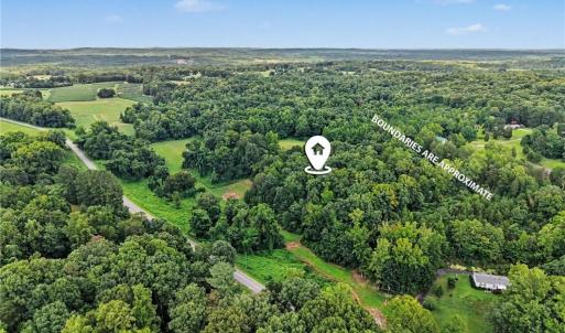 Photo #20 of 543 Bald Hill Loop, Madison, NC 31.4 acres