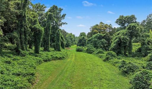 Photo #9 of 543 Bald Hill Loop, Madison, NC 31.4 acres