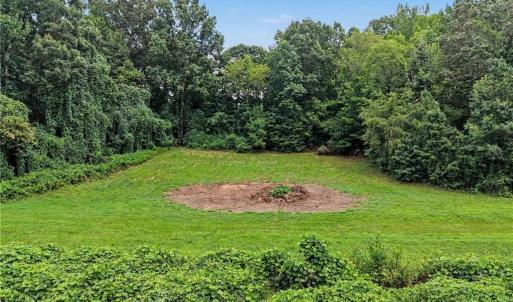 Photo #24 of 543 Bald Hill Loop, Madison, NC 31.4 acres