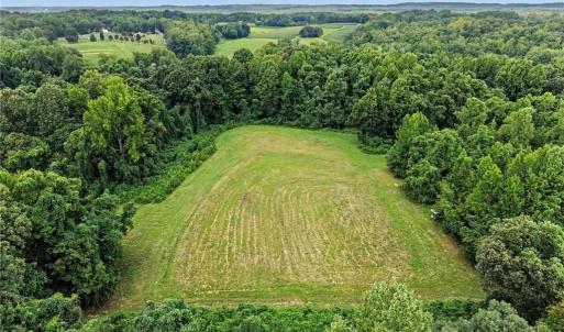 Photo #10 of 543 Bald Hill Loop, Madison, NC 31.4 acres