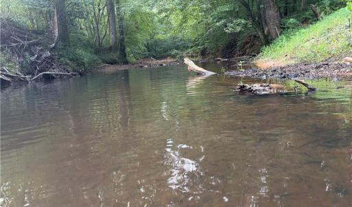 Photo #11 of 543 Bald Hill Loop, Madison, NC 31.4 acres
