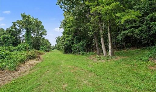 Photo #4 of 543 Bald Hill Loop, Madison, NC 31.4 acres