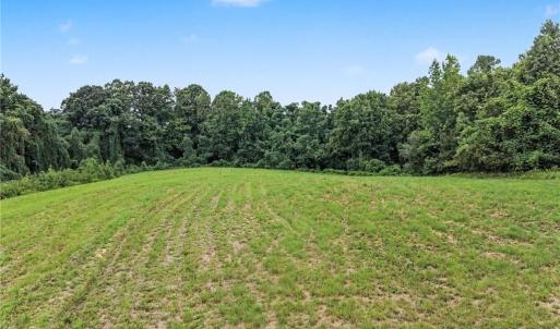 Photo #8 of 543 Bald Hill Loop, Madison, NC 31.4 acres
