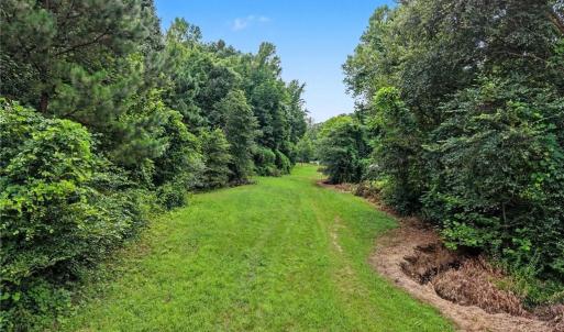 Photo #25 of 543 Bald Hill Loop, Madison, NC 31.4 acres