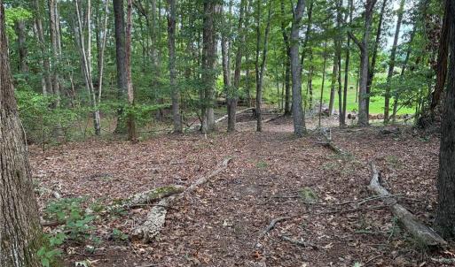 Beautiful, private wooded acreage—an ideal setting for building your custom dream home, homestead, or quiet rural retreat.
