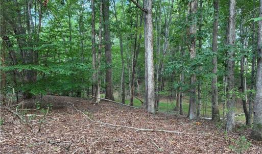 Secluded woodlot with plenty of space to clear a private homesite, cabin, or self-sustaining mini-farm surrounded by nature.