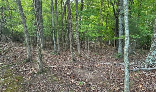 Mature trees and serene natural surroundings offer endless possibilities for outdoor recreation, hunting, or private trail networks.