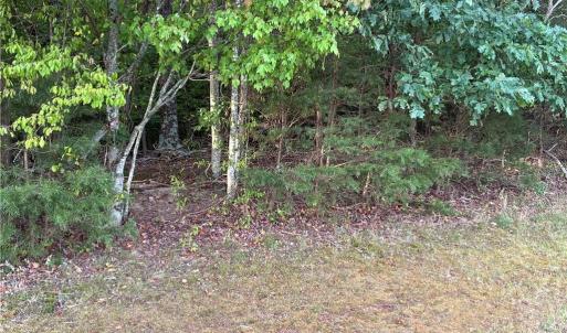 Photo #4 of Bethany, Reidsville, NC 19.8 acres