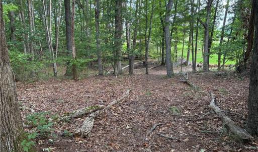 Beautiful, private wooded acreage—an ideal setting for building your custom dream home, homestead, or quiet rural retreat.
