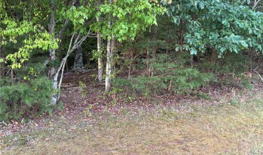 Photo #8 of Bethany, Reidsville, NC 19.8 acres
