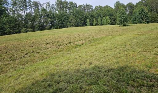 Photo #2 of Massey Creek, Madison, NC 20.7 acres