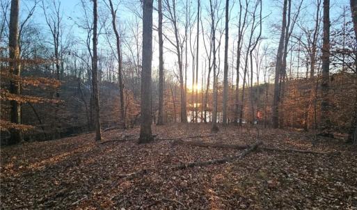 Photo #6 of Massey Creek, Madison, NC 20.7 acres