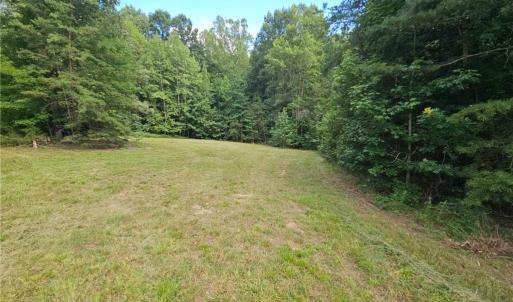 Photo #7 of Massey Creek, Madison, NC 20.7 acres