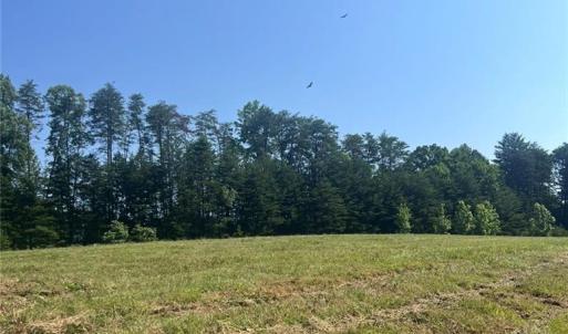 Photo #3 of Massey Creek, Madison, NC 20.7 acres