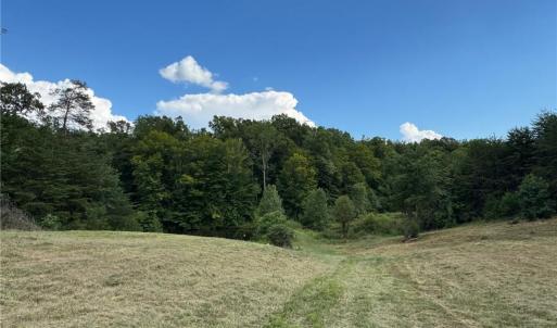 Photo #1 of Massey Creek, Madison, NC 20.7 acres
