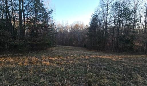 Photo #5 of Massey Creek, Madison, NC 20.7 acres