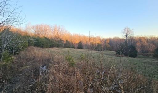 Photo #9 of Massey Creek, Madison, NC 20.7 acres