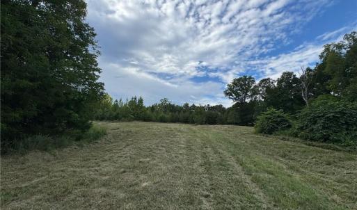Photo #10 of Massey Creek, Madison, NC 20.7 acres