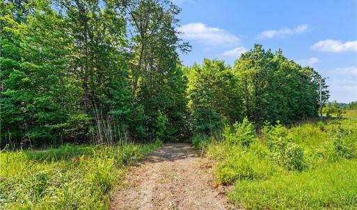 Photo #11 of Massey Creek, Madison, NC 20.7 acres