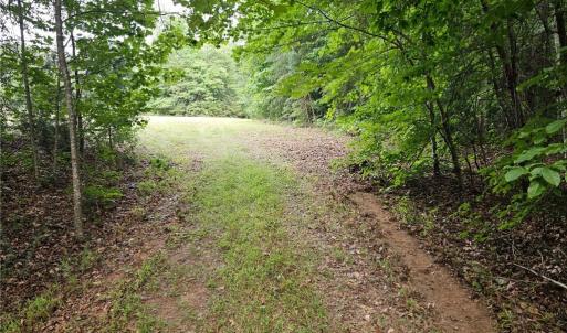 Photo #4 of Massey Creek, Madison, NC 20.7 acres