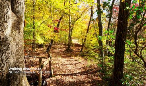 Photo #22 of 5 Old Mill, Pinnacle, NC 16.8 acres