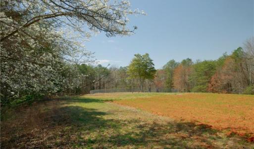 Photo #7 of 5 Old Mill, Pinnacle, NC 16.8 acres