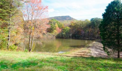 Photo #1 of 5 Old Mill, Pinnacle, NC 16.8 acres