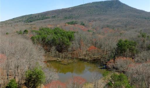 Photo #5 of 5 Old Mill, Pinnacle, NC 16.8 acres