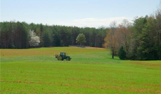 Photo #9 of 5 Old Mill, Pinnacle, NC 16.8 acres