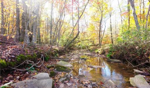 Photo #8 of 5 Old Mill, Pinnacle, NC 16.8 acres