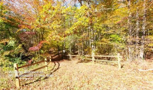 Photo #21 of 5 Old Mill, Pinnacle, NC 16.8 acres