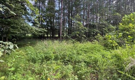 Photo #2 of Johnson, King, NC 17.1 acres