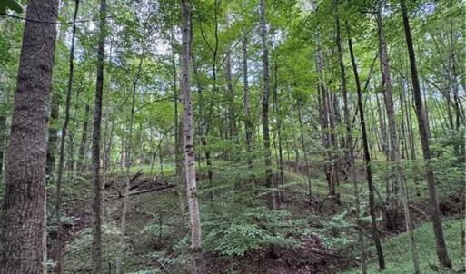 Photo #6 of Johnson, King, NC 17.1 acres