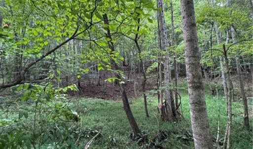 Photo #13 of Johnson, King, NC 17.1 acres