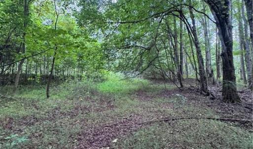Photo #7 of Johnson, King, NC 17.1 acres