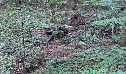 Photo #5 of Johnson, King, NC 17.1 acres