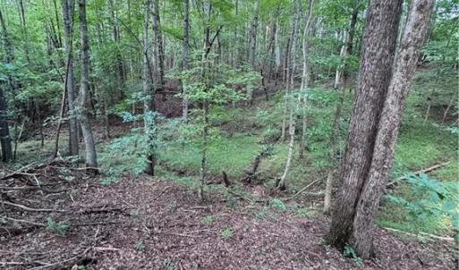 Photo #10 of Johnson, King, NC 17.1 acres