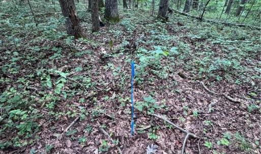 Photo #4 of Johnson, King, NC 17.1 acres