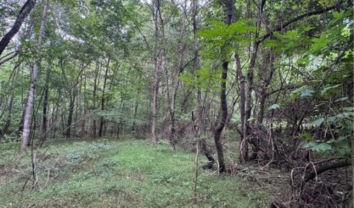 Photo #8 of Johnson, King, NC 17.1 acres