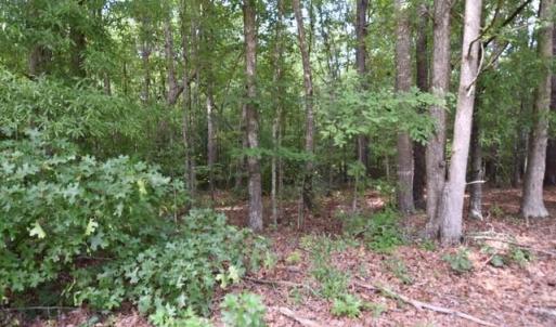 Photo #2 of Garner, Snow Camp, NC 17.0 acres