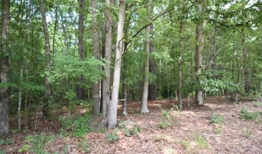Photo #3 of Garner, Snow Camp, NC 17.0 acres
