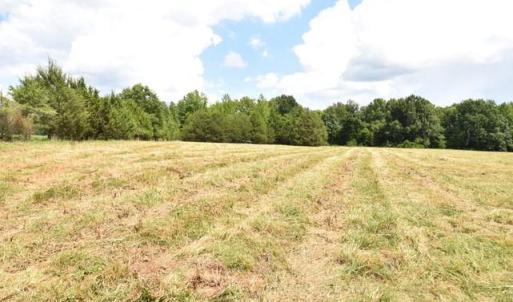 Photo #5 of Garner, Snow Camp, NC 17.0 acres