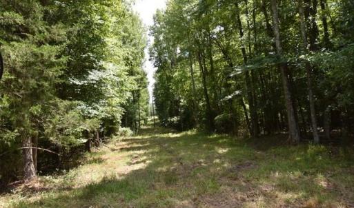 Photo #11 of Garner, Snow Camp, NC 17.0 acres