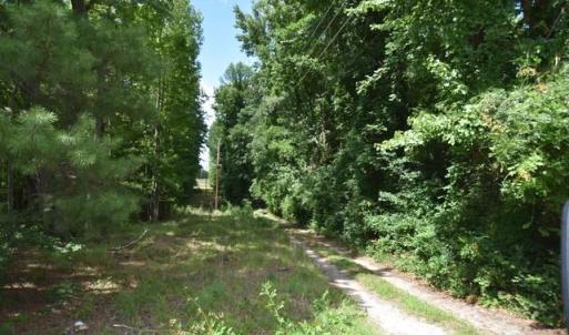 Photo #4 of Garner, Snow Camp, NC 17.0 acres