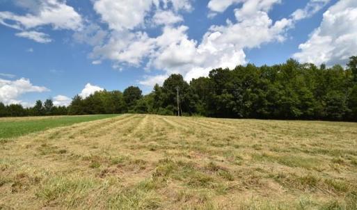 Photo #8 of Garner, Snow Camp, NC 17.0 acres